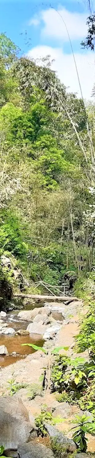 Tauche in das natürliche Munduk ein